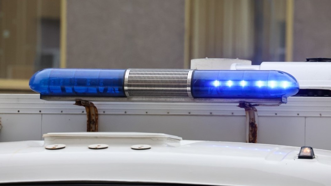    Belkin Alexey/news.ru/Globallookpress