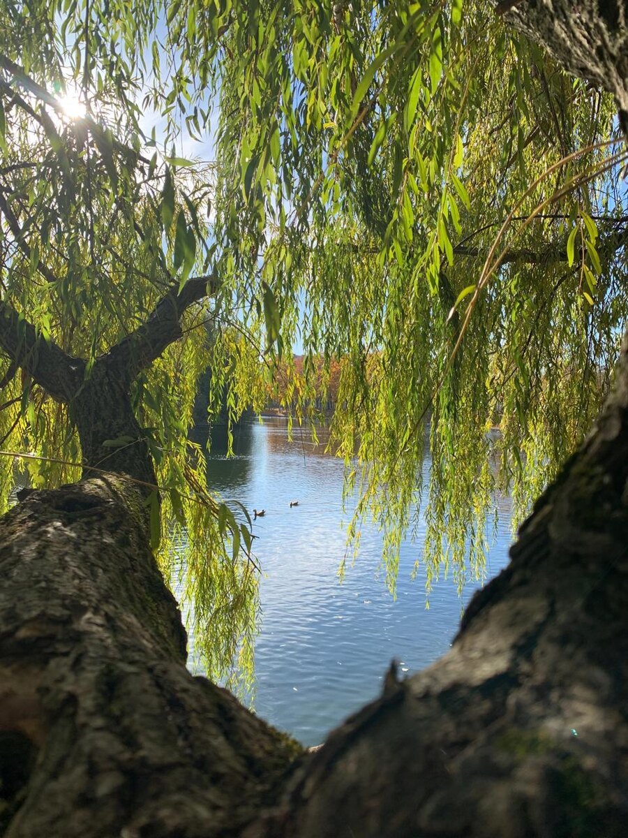 Младший постарался снять "поинтереснее".