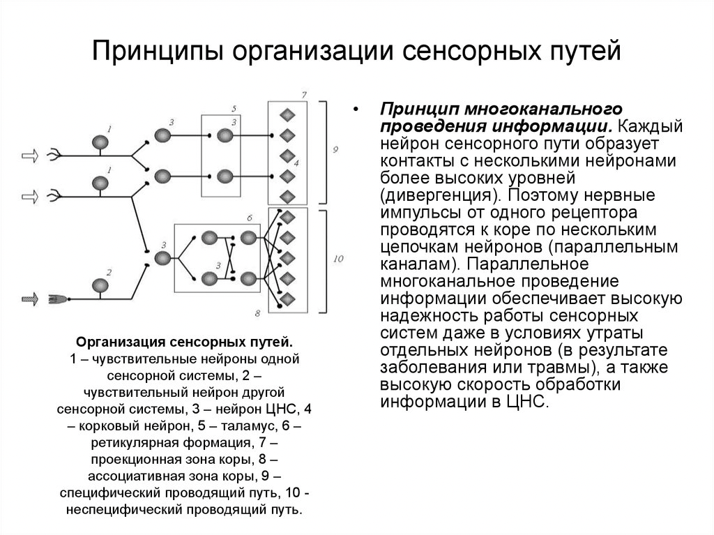 Для наглядной доказательности материала 
