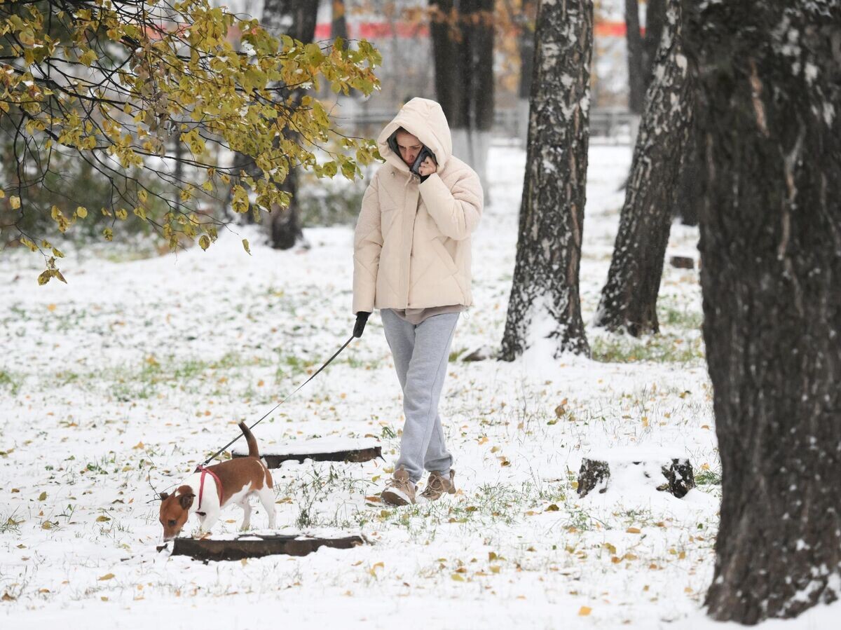    Снег в Москве© РИА Новости / Алексей Майшев