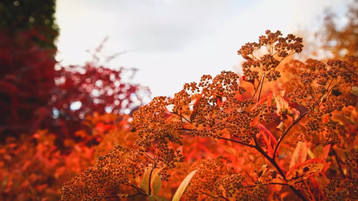     Источник: 1MI