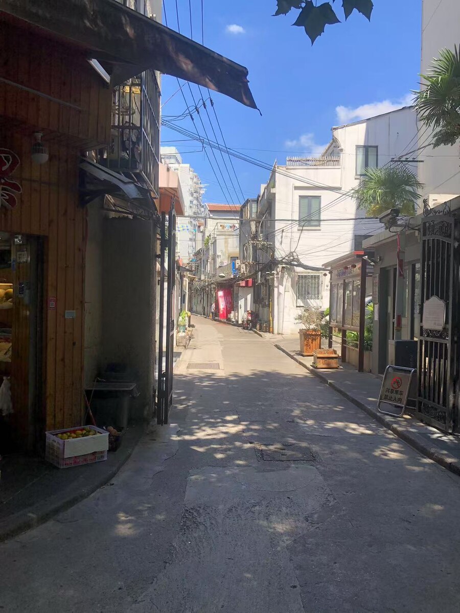 Шанхайская аллея. В районе французской концессии ( территория Шанхая, находившаяся под управлением Франции с 1849- 1946) 