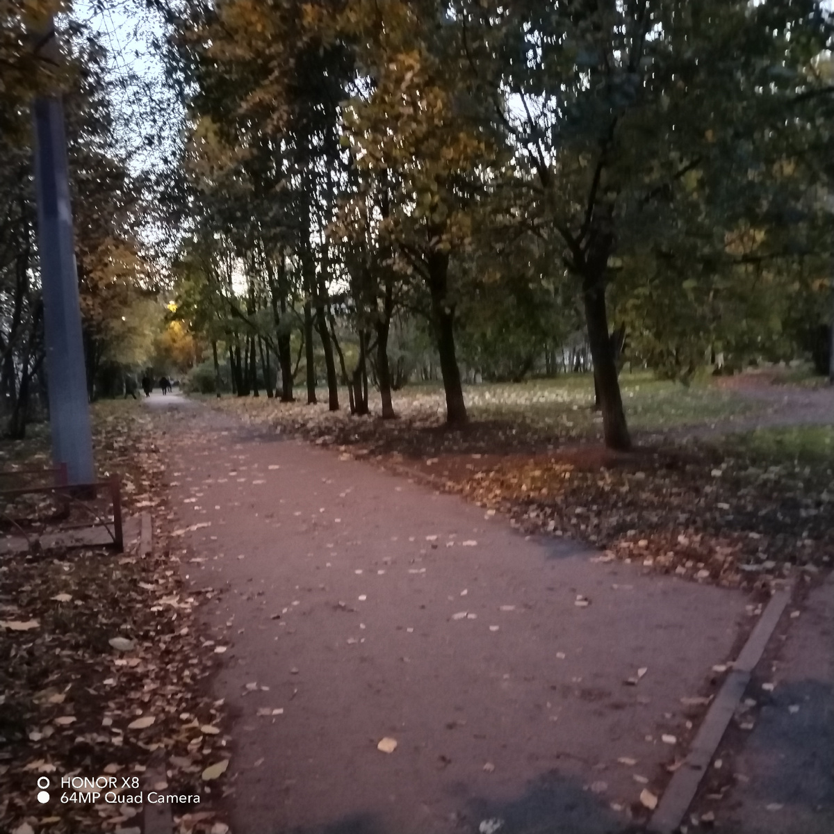 ОСЕННЯЯ АЛЛЕЯ,  по которой я так люблю гулять... Из личных фото автора Лидии Шатиловой