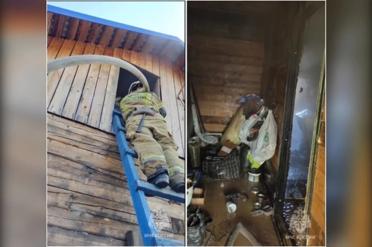    Пламя унесло жизни домашних любимцев в утреннем пожаре в ЕАО