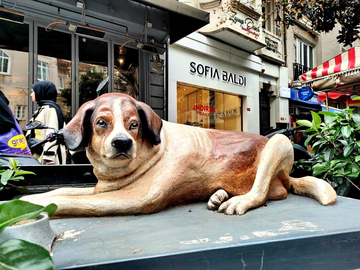 Стамбул, памятник Томми