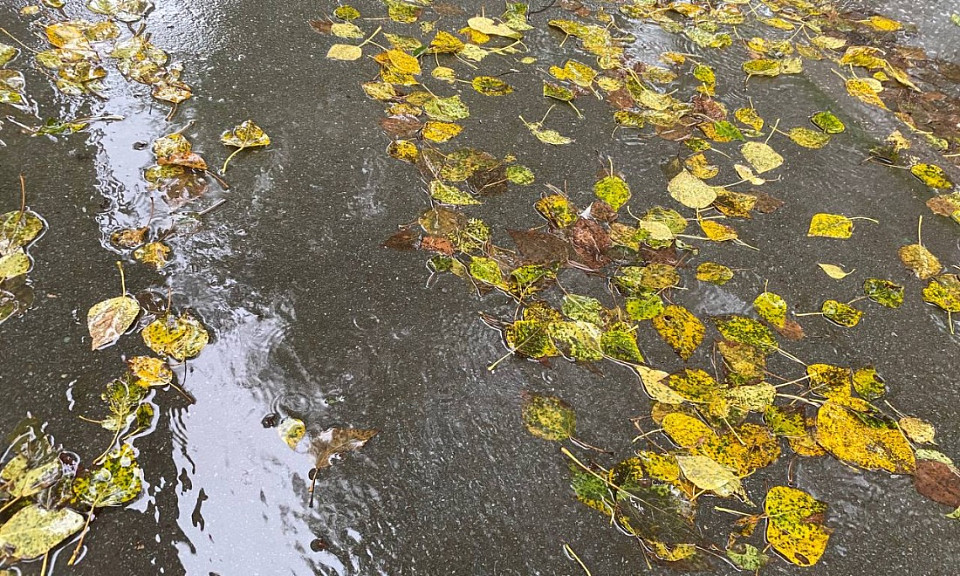 Фото: Екатерина Шамина / Горсайт