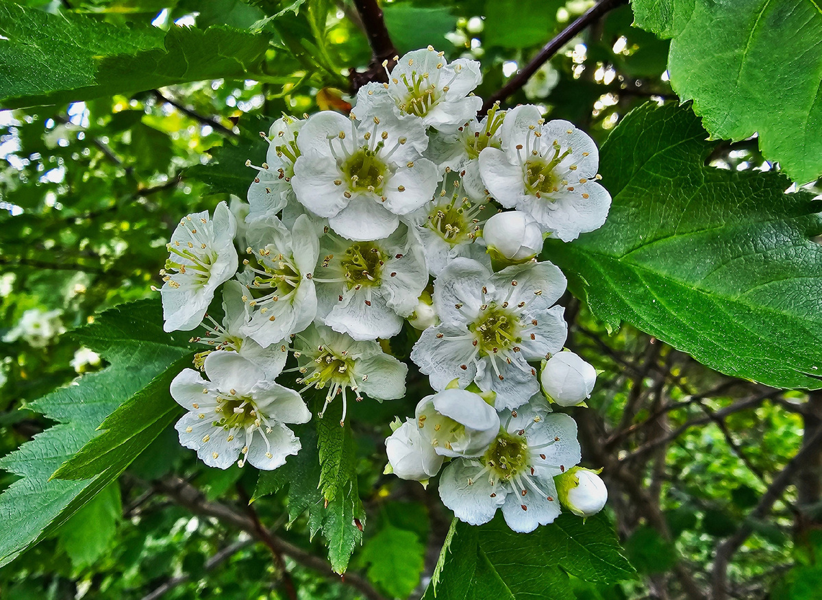 она шла с работы, кто-то её окликнул