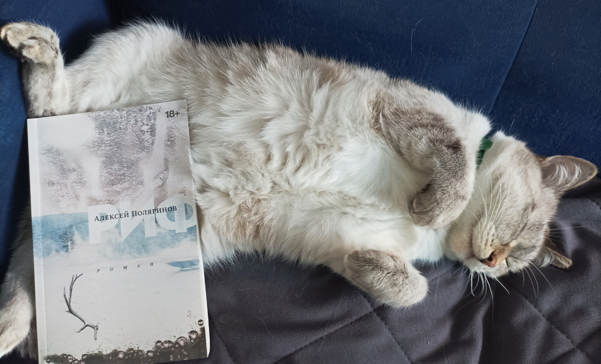 Читаемую сегодня книжку - "худышку" представляет мирно спящая Дженька. 