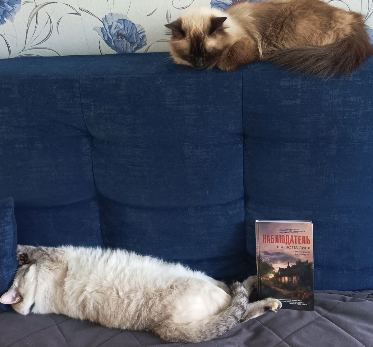 И снова "девчонки", оккупировавшие разные ярусы моего дивана, представляют книгу вдвоём. 