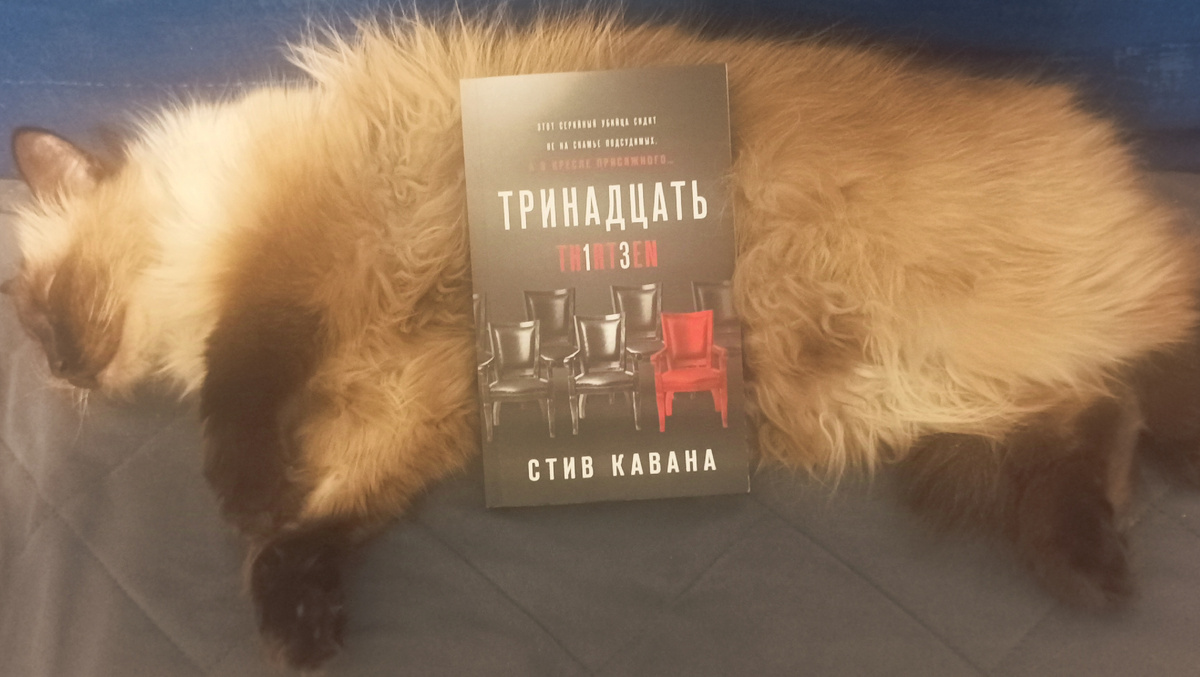 Читаемую книгу из магазина Fix Price  сегодня представляет мирно спящая Джессика. 