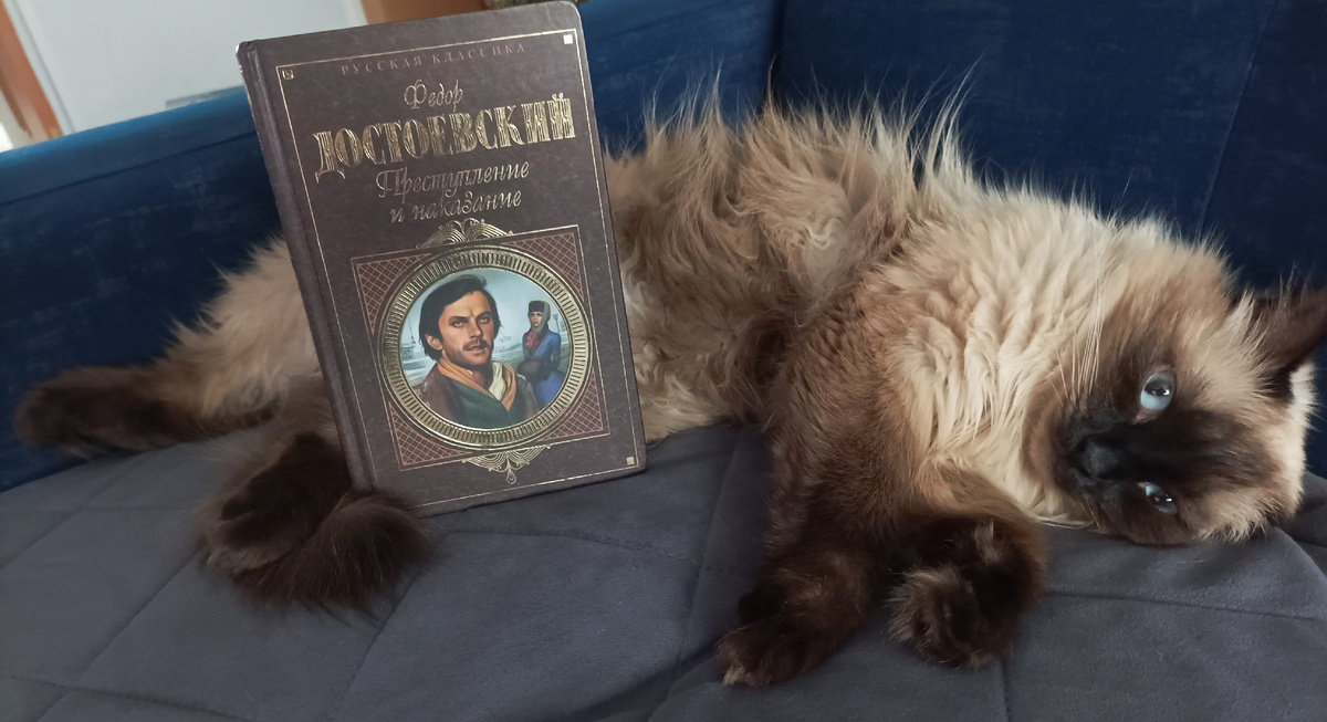 Не самую простую книгу из школьной библиотеки взялась сегодня представлять Джессика. 