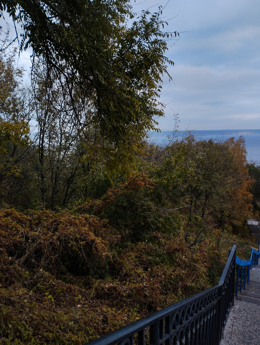 Заросли хмеля и кусочек Волги на горизонте.