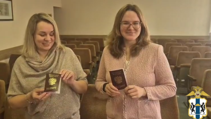 фото: скриншот видео 54.мвд.рф