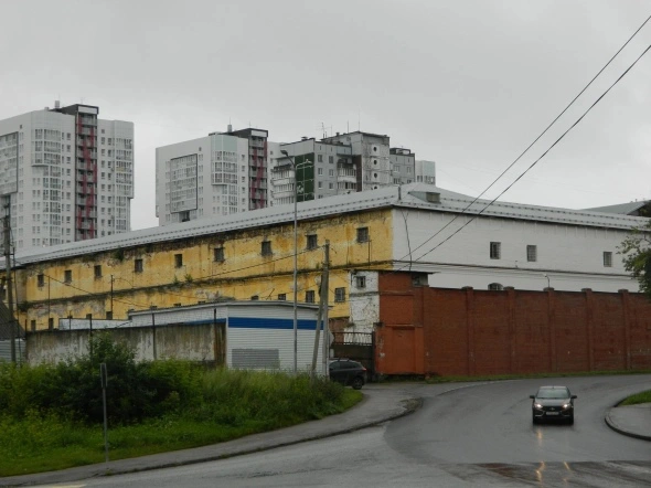 Фото: Михаил Лобанов 