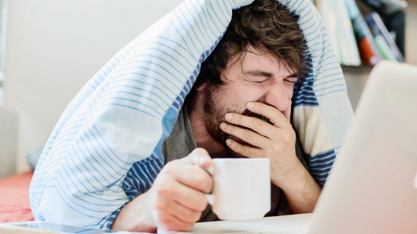    Фото: www.globallookpress.com/Jan Tepass; Личный архив Алены Гавриленой; 5-tv.ru