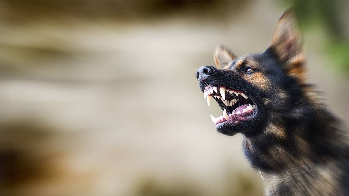    Фото: shutterstock