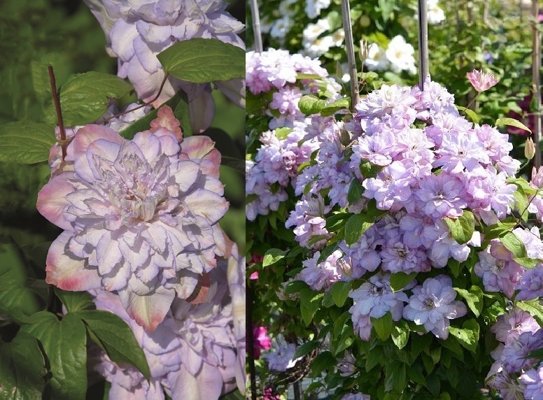 Фото из свободного доступа в интернете