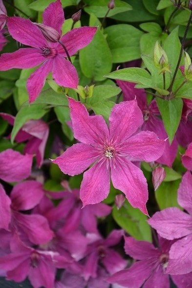 Фото из свободного доступа в интернете