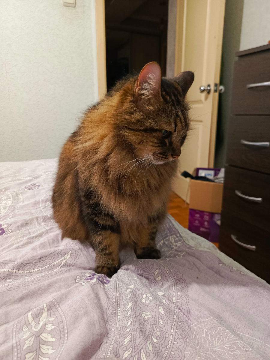 Кожаная, не дашь рыбу - жди сссанкции.