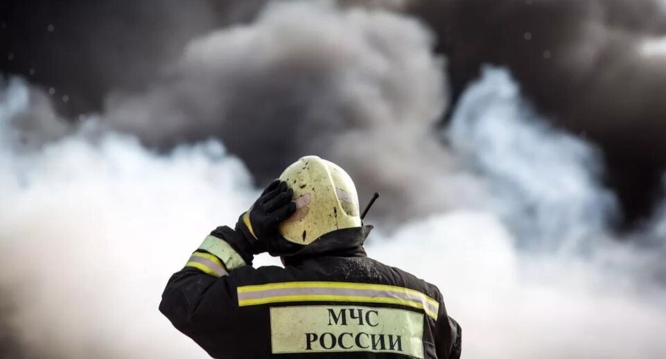    РИА «Новости»