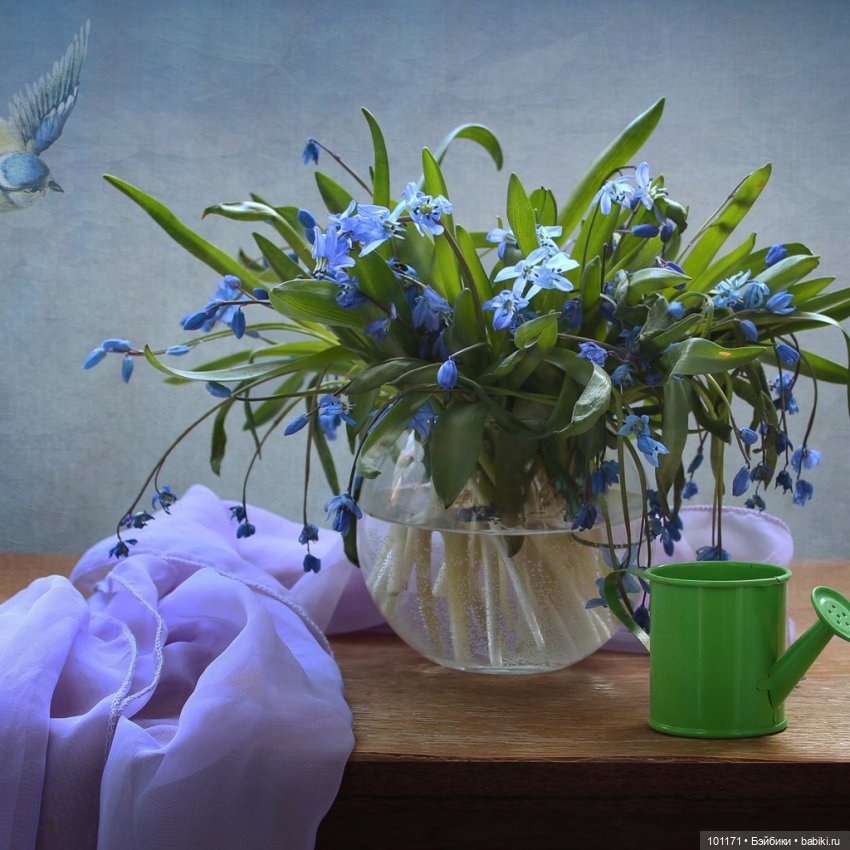 картинка из интернета