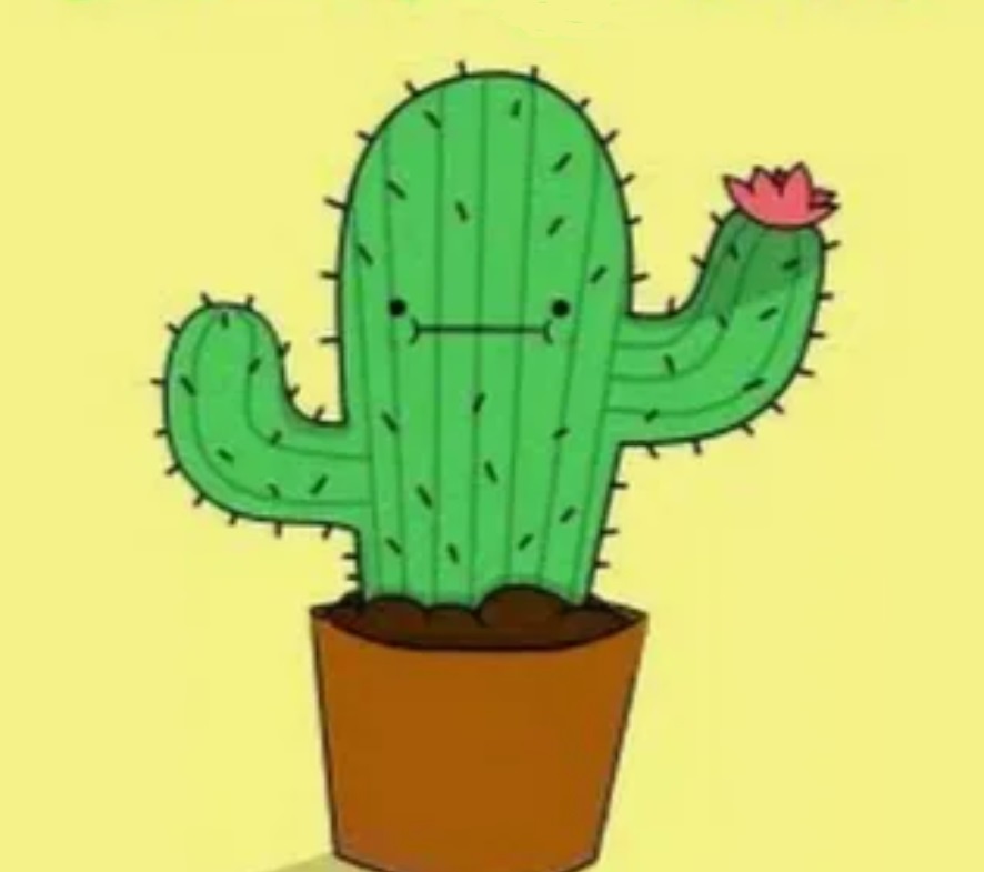 кактус