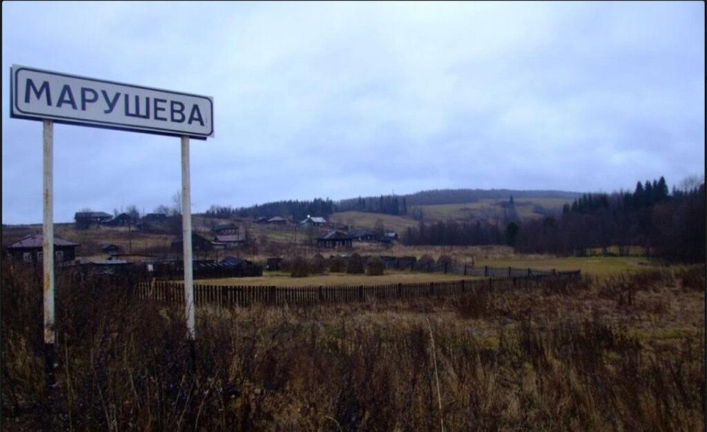    Фото: пресс-служба СК России Ульяна Бажанова