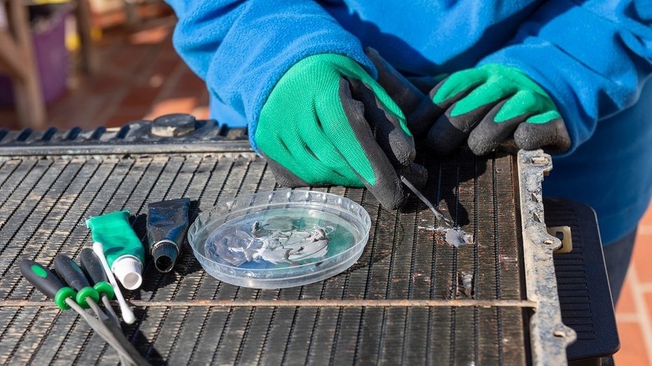 Здесь и далее: ShutterStock/Fotodom.ru