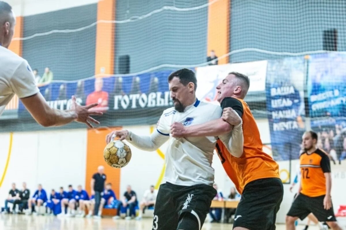    Директор гандбольного клуба готов передать команду Воронежской области