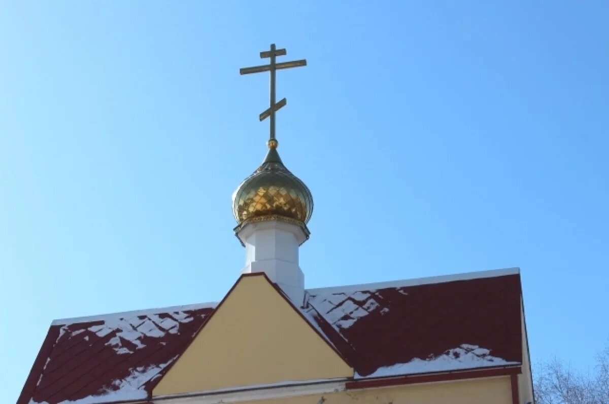    Нижегородцы выступили против строительства храма в Приокском районе