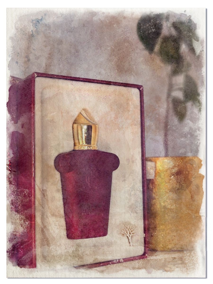 "Xerjoff Italica Casamorati"  фото: Tatiana Bogorodskaia 