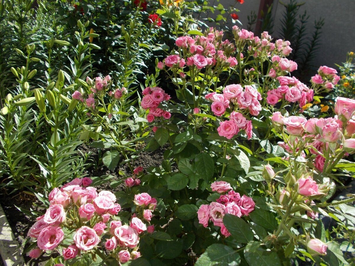 фото Марины