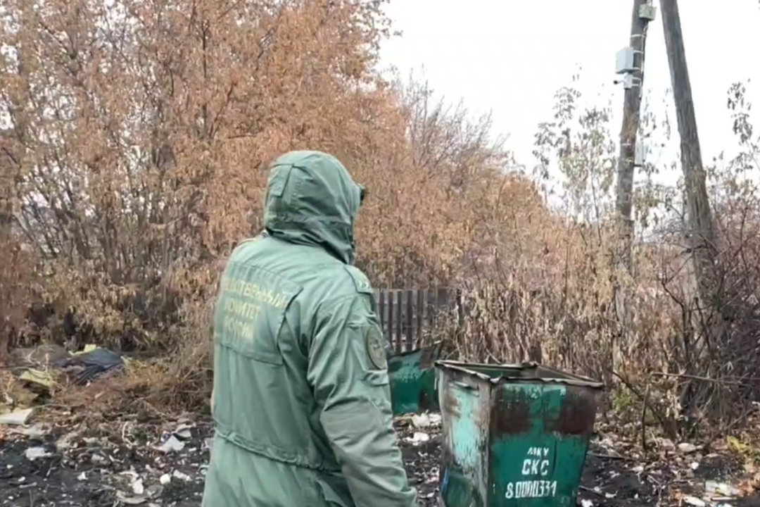 Фото: скриншот видео СК по Челябинской области
