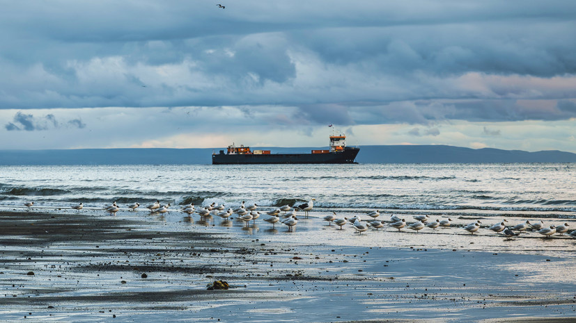   Gettyimages.ru golero