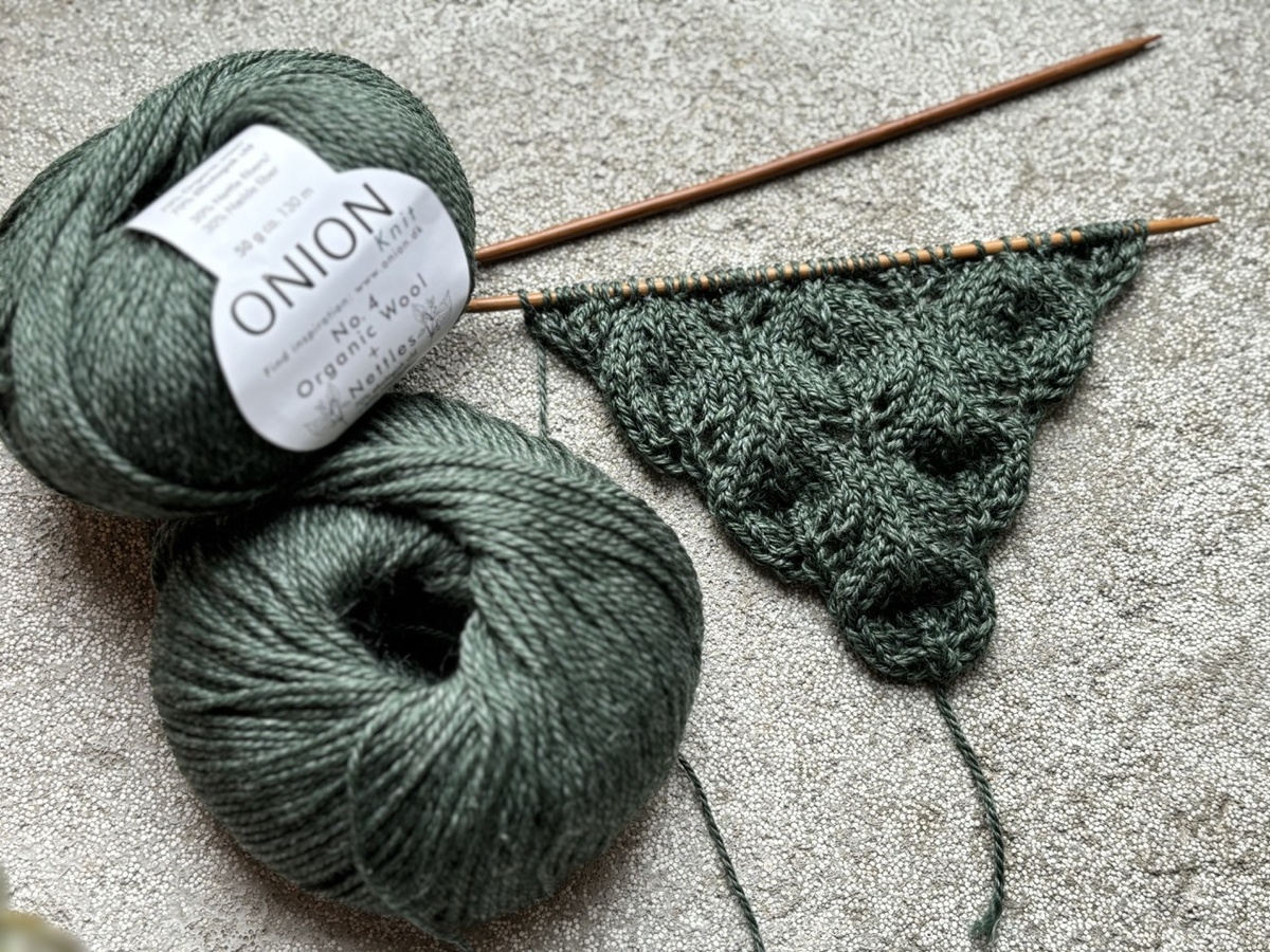 бактус начало