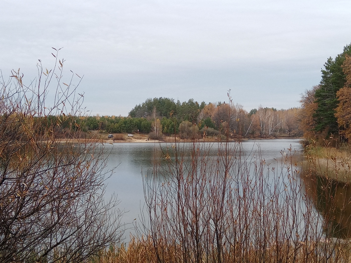 Вид на пруд с дамбы
