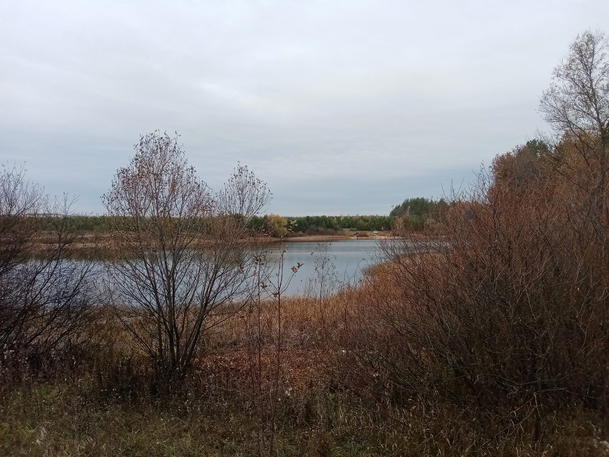 Будний день, конец октября но жизнь здесь еще есть. 