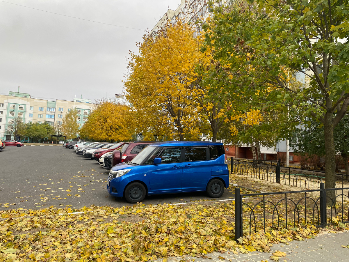 А у нас во дворе…