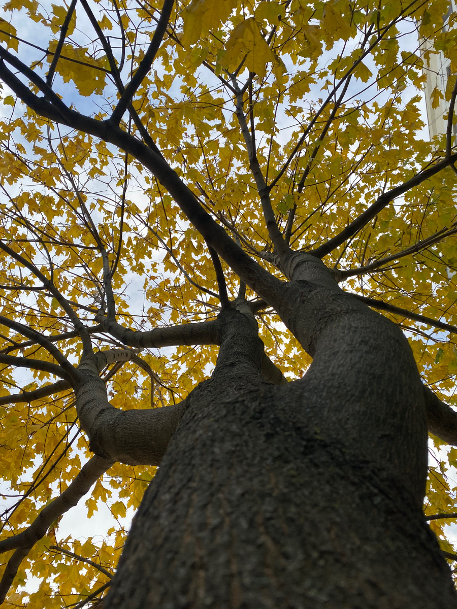 А я не плохой фотограф, однако!