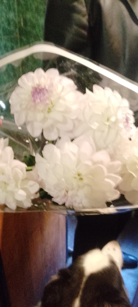 Личное фото