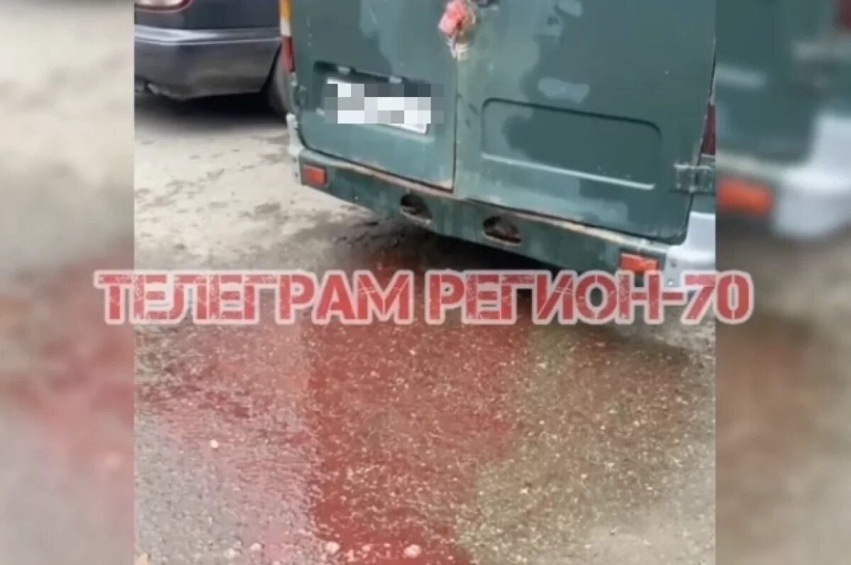    В Томске заметили «Газель», из которой капала кровь