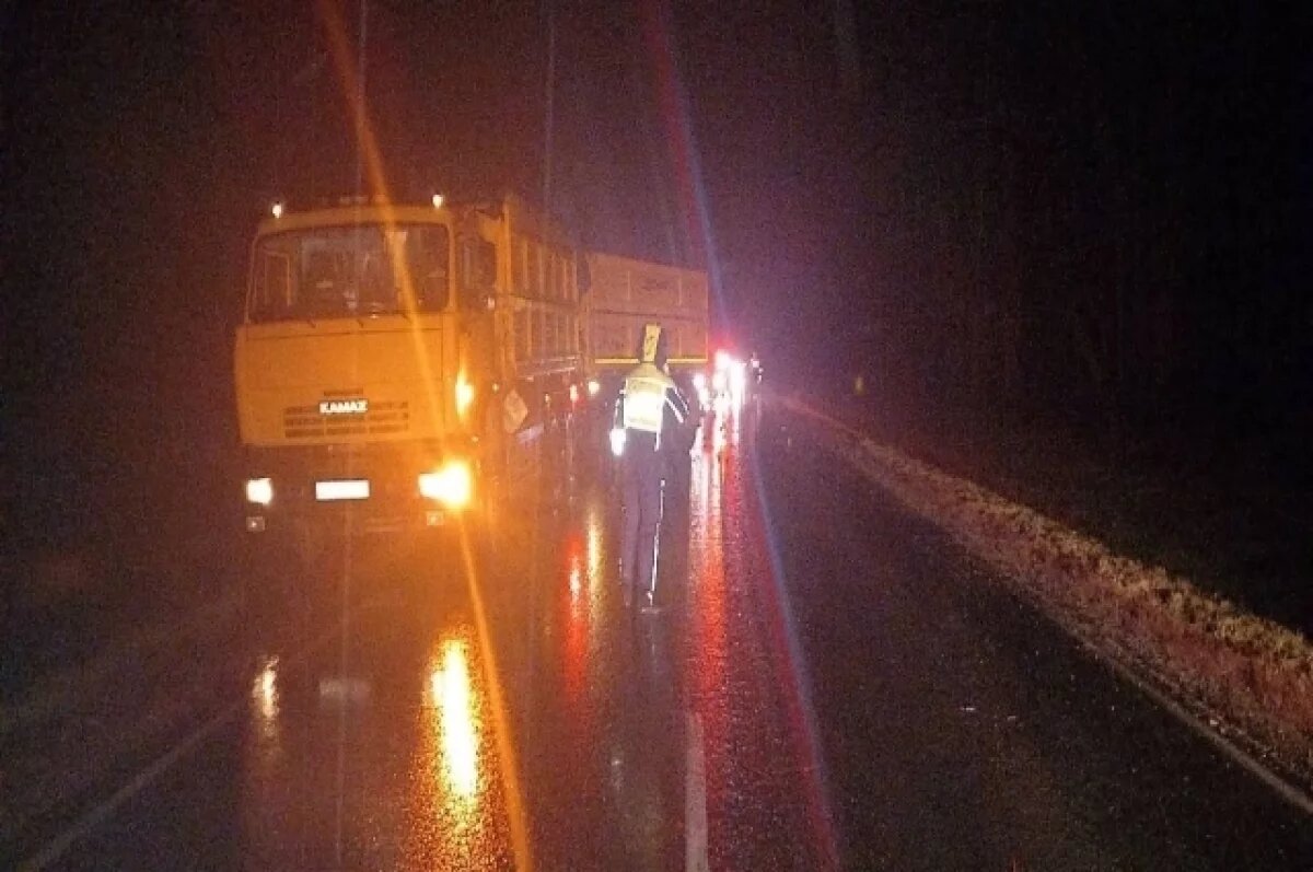    В ДТП с кабанами на тюменской трассе пострадали четыре человека