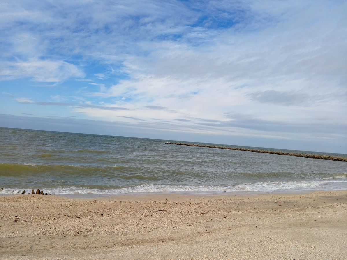 Ейская коса 25.10.2024