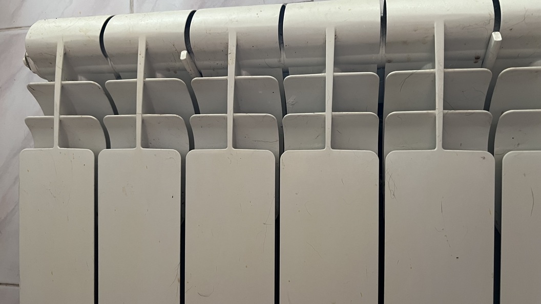    Фото: Царьград