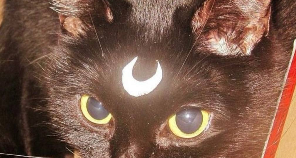 Где отметить Хеллоуин в Москве