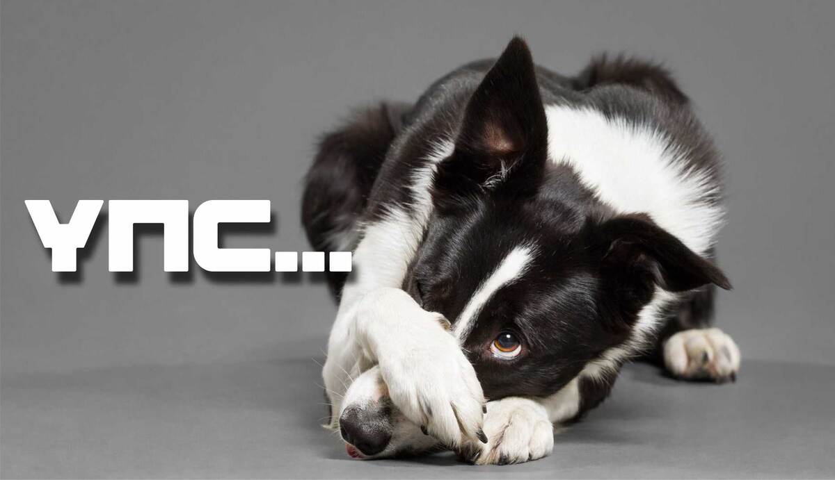 Фото: studentloansherpa.com