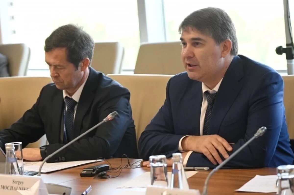    МВД: по делу замглавы Минэнерго Мочальникова проходят еще четыре фигуранта