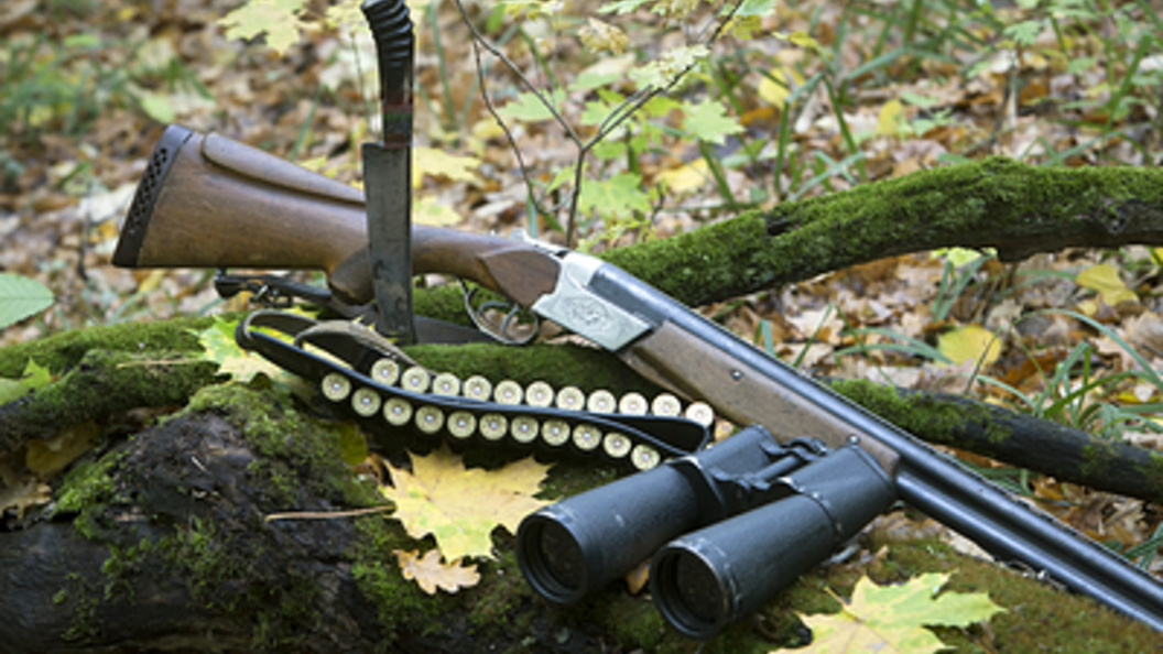    Фото: Nikolay Gyngazov/Globallookpress.