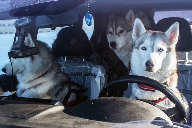 (https://sun9-79.userapi.com/impg/QxeM9Y6__h7NpTONX_BugRNup1B2Hl6JDWs3tQ/iemwfVJDV9Y.jpg?size=1000x667&quality=96&sign=34fa970338e1756fbaeaef2fdddbd741&c_uniq_tag=wQXoOtVNzCYVjeP4jTSjWeUUZB3Ef6JL3EOBtysoS4E&type=album)