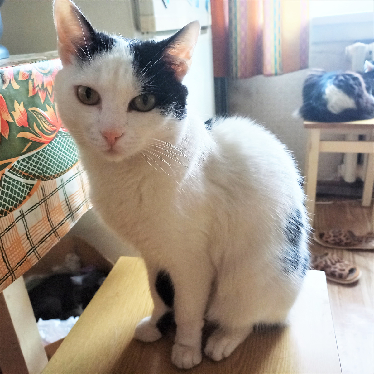 Да, принимаю! Да, написала! Бусинда под столом и в шоке)